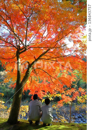 紅葉を眺める兄弟 後ろ姿 紅葉を眺める兄弟 後ろ姿 136843757