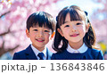 さくら背景の可愛いらしい小学校1年生 136843846