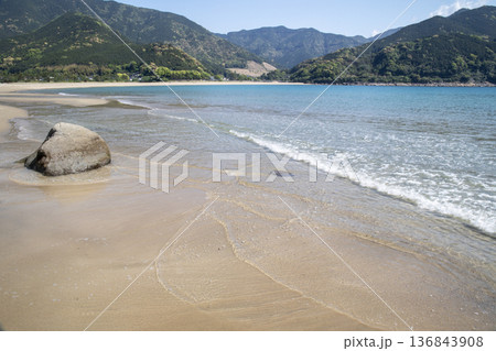 春の新鹿海岸 春の新鹿海岸 136843908