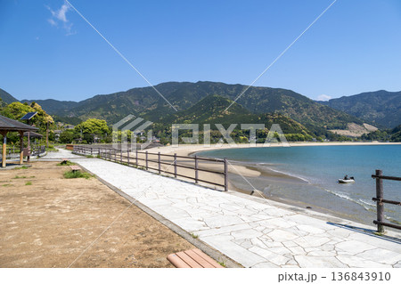 春の新鹿海岸 136843910