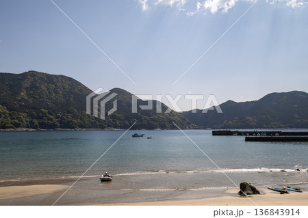 春の新鹿海岸 春の新鹿海岸 136843914