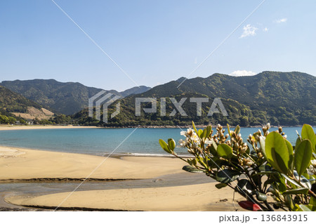 春の新鹿海岸 春の新鹿海岸 136843915