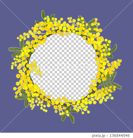 Mimosa wreath (transparent interior, blue-gray) 136844046