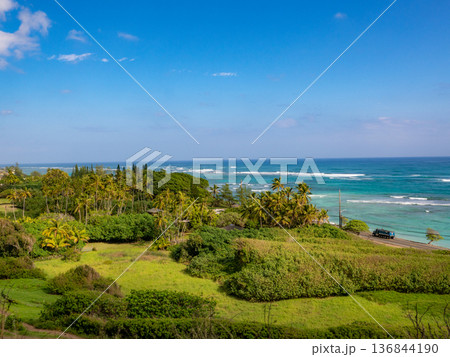 晴天のクアロア・ランチ 136844190