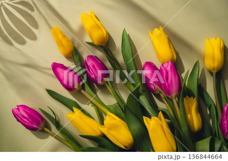 Fresh bouquet of colorful tulip flowers in pastel background with shadows. Minimalist design greeting card for springtime holidays. Gift for birthday 8 March Mother's Day Valentine's day Women's Day. Fresh bouquet of colorful tulip flowers in pastel background with shadows. Minimalist design greeting card for springtime holidays. Gift for birthday 8 March Mother's Day Valentine's day Women's Day. 136844664