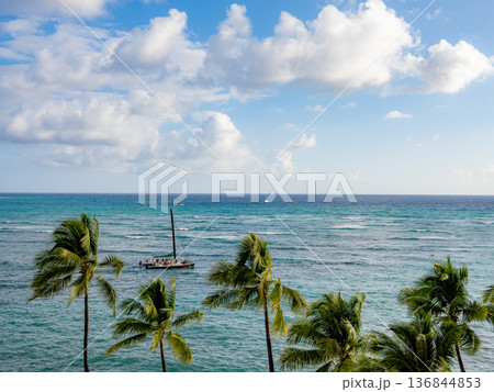 ハワイ ワイキキの海に浮かぶヨットとヤシの木 136844853