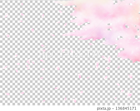 Watercolor abstract background: cherry blossoms in full bloom and falling petals 136845171