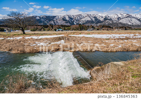 浅春の知内川と残雪の野坂山地　滋賀県高島市マキノ町 136845363