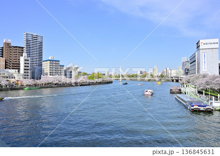 桜並木の大川を行き交う桜見クルーズ 136845631