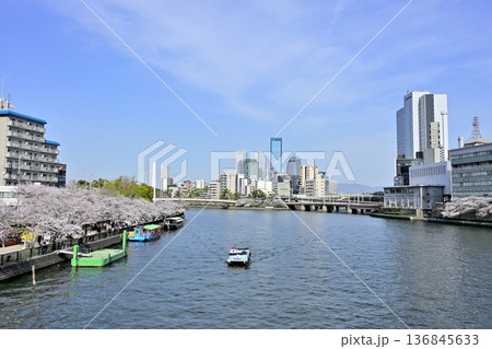 桜並木の大川に浮かぶさくらクルーズ 桜並木の大川に浮かぶさくらクルーズ 136845633