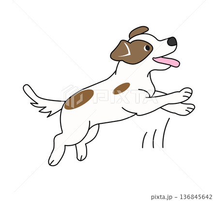 ジャンプする犬 ジャンプする犬 136845642