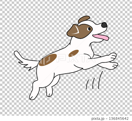 ジャンプする犬 ジャンプする犬 136845642