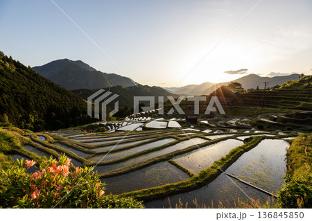 春の丸山千枚田の夕暮 春の丸山千枚田の夕暮 136845850