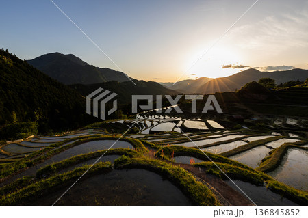 春の丸山千枚田の夕暮 春の丸山千枚田の夕暮 136845852