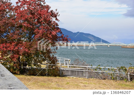桑名市　揖斐川と伊勢大橋と三之丸公園の紅葉 136846207