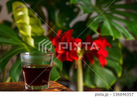 glass of espresso against a backdrop of blooming South American hippeastrum and Monstera deliciosa leaves, a coffee space about growing tropical vines and flowers 136846357
