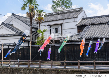 うずまの鯉のぼり(栃木県栃木市、5月撮影) うずまの鯉のぼり(栃木県栃木市、5月撮影) 136846593
