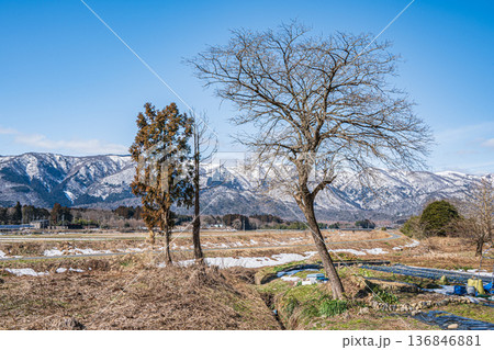 浅春の知内川沿いの畑と冬枯れの木 滋賀県高島市マキノ町 浅春の知内川沿いの畑と冬枯れの木 滋賀県高島市マキノ町 136846881
