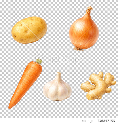 五種基本蔬菜的水彩插圖 | 烹飪常用食材 136847153