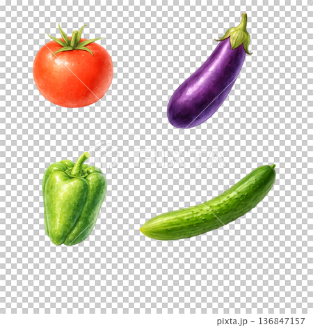 夏野菜4種の水彩イラスト素材｜トマトとなすとピーマンときゅうり 136847157