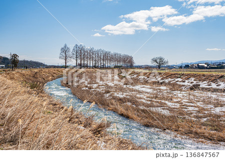 浅春の知内川　滋賀県高島市マキノ町 136847567