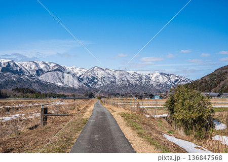 浅春のマキノ町のサイクリングロード　滋賀県高島市 136847568