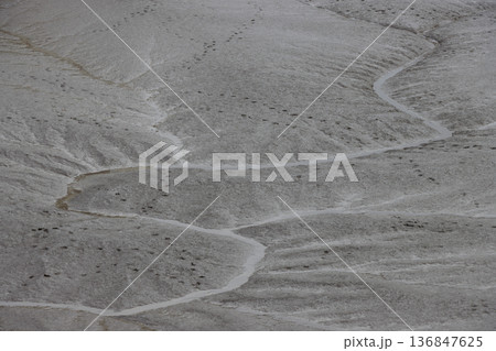 Bird footprints on wet coastal mud at low tide Bird footprints on wet coastal mud at low tide 136847625