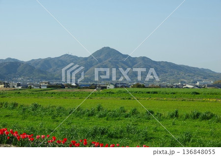 兵庫県洲本市 城戸アグリ公園付近から先山を望む 兵庫県洲本市 城戸アグリ公園付近から先山を望む 136848055