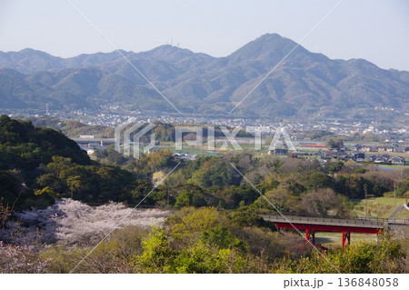 兵庫県洲本市 桜の時期に鮎屋川ダムから先山方面を望む 兵庫県洲本市 桜の時期に鮎屋川ダムから先山方面を望む 136848058