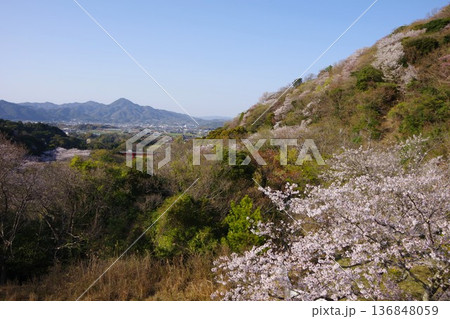 兵庫県洲本市　桜の時期に鮎屋川ダムから先山方面を望む 136848059