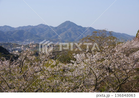 兵庫県洲本市 桜の時期に鮎屋川ダムから先山方面を望む 兵庫県洲本市 桜の時期に鮎屋川ダムから先山方面を望む 136848063