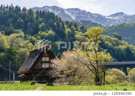 立山連峰と合掌造り 136848386