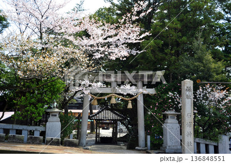 金沢 石浦神社 金沢 石浦神社 136848551
