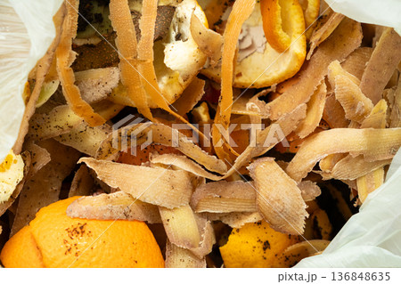 Organic Bio Waste in Garbage Bag for Compost and Recycling 136848635