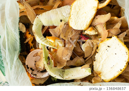 Organic Bio Waste in Garbage Bag for Compost and Recycling Organic Bio Waste in Garbage Bag for Compost and Recycling 136848637