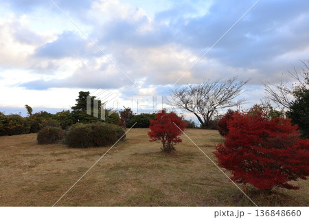 神奈川県・足柄下郡・星ケ山公園 神奈川県・足柄下郡・星ケ山公園 136848660