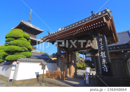 龍原寺（臼杵市） 136848664