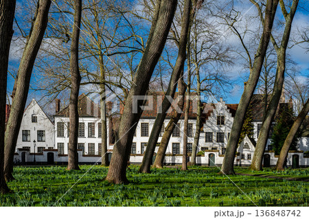 White Houses of Begijnhof Bruges White Houses of Begijnhof Bruges 136848742