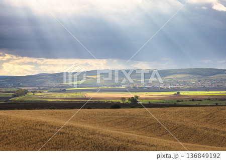 The country of South Moravia in the Czech Republic, Europe. Sun rays breaking through clouds illuminating golden fields in a tranquil rural landscape, with distant hills and trees in the background. The country of South Moravia in the Czech Republic, Europe. Sun rays breaking through clouds illuminating golden fields in a tranquil rural landscape, with distant hills and trees in the background. 136849192