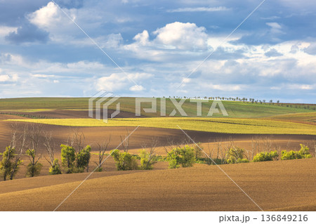 The country of South Moravia in the Czech Republic, Europe. Rolling hills of agricultural land under a bright sky. A tranquil scene of nature's beauty, showcasing the harmony of land and sky. 136849216