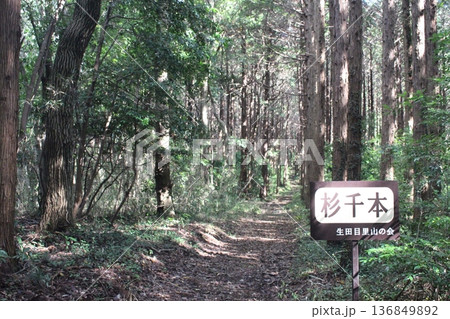 生田目散策路 136849892
