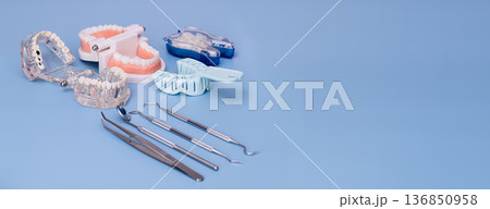 Professional dentistry still life with jaw models, typodont training devices, impression trays and metal dental tools arranged on a clean blue studio background Professional dentistry still life with jaw models, typodont training devices, impression trays and metal dental tools arranged on a clean blue studio background 136850958