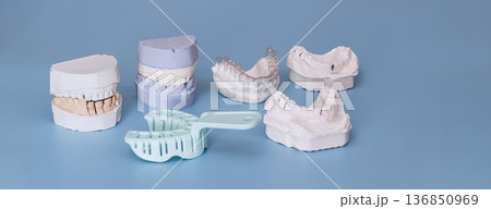 Dental plaster casts, jaw impression molds and tray set on blue background with copy space Dental plaster casts, jaw impression molds and tray set on blue background with copy space 136850969