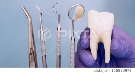 Dental instruments and tooth model in gloved hand on blue background, dentistry concept Dental instruments and tooth model in gloved hand on blue background, dentistry concept 136850972