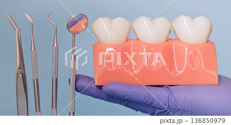 Dental Teeth and Gum Model with Dentist Instruments in Blue Medical Gloves on Light Blue Background, Oral Care Dentistry Concept Dental Teeth and Gum Model with Dentist Instruments in Blue Medical Gloves on Light Blue Background, Oral Care Dentistry Concept 136850979