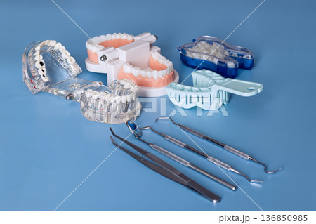 Dental Training Models, Impression Trays and Dentist Instruments on Blue Background 136850985