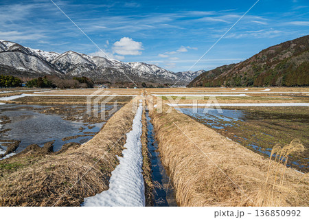 浅春のマキノ町の田園風景 滋賀県高島市 浅春のマキノ町の田園風景 滋賀県高島市 136850992