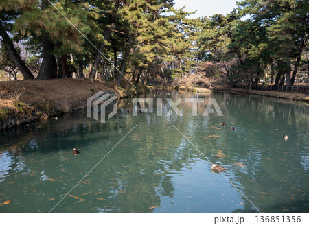 池のある公園 池のある公園 136851356