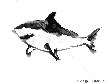 サメの筆書きイラスト素材 136851438