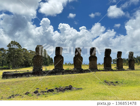 アフ・アキビ、海を向いて立つ7体のモアイ像、イースター島、2025年11月 136851478